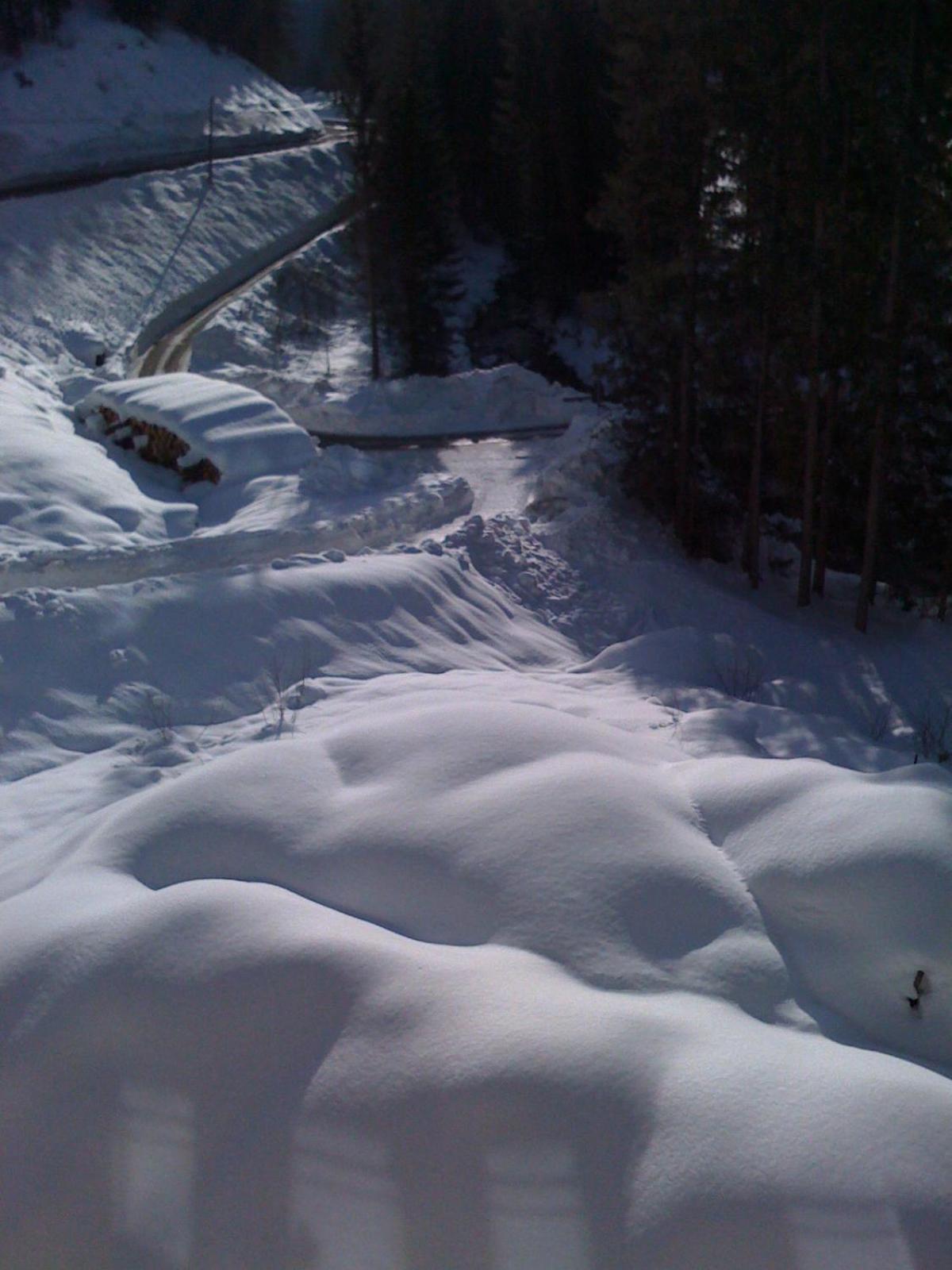 Gasthof Alpenrose - Muehleben Sarentino Εξωτερικό φωτογραφία